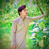 Bilal Ahmad