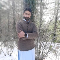 Talat Zareen