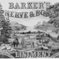Peter Barker
