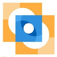 Telepresence Options
