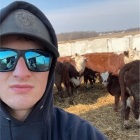 Kyle Schafer