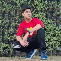 Ansh Lohani