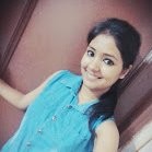 Apj Shailni