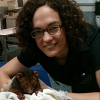 Joana Roque BVM PhD
