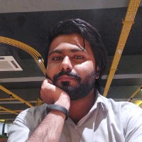 Syed Hamail Hussain Zaidi