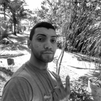 Fabricio Vitório Da Silva