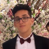 Pedro Scarpin Ribeiro
