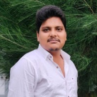 Vilashkumar Jogi