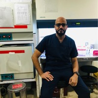 Mohamed Farouk M Saeed