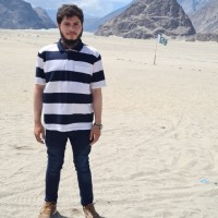 Hafeez Safdar Ali