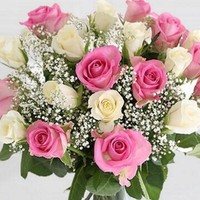 Dr.Iffat Raza