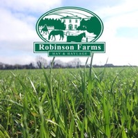 Peter Robinson