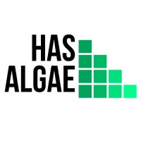 Has Algae