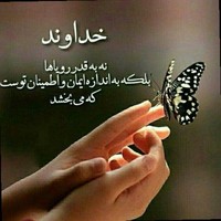 Mohammad Reza Motamedi