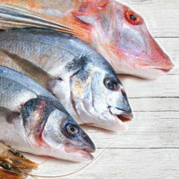 TERRAMARESF FRESH FISH