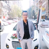Walid Boraie