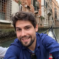 Michele Perin