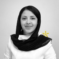 farzaneh falatouni