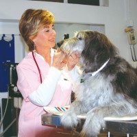 maria teresa miletto