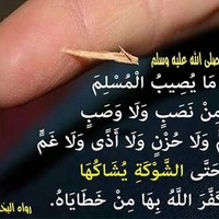 Said EL bachiri