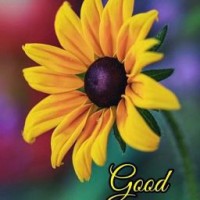 Subodh Kumar