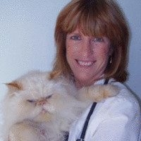 Ann Middleton