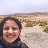 Roberta Pisanelli Lima