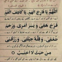 amber waheed