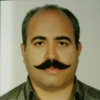 Payman Hosseinzadeh Shahi