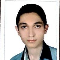 hamed sajjadi