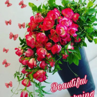 Rashmita Behera