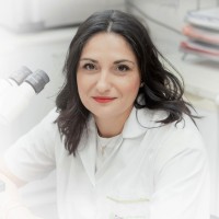 Anastasia Lamprogiota
