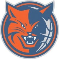 Bobcats Premium Services