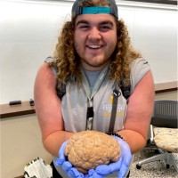 Briggs Braswell
