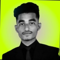 SEO Pasha