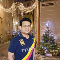 Bipin Javiya (Mba - Finance, Pgdfm - Finance)