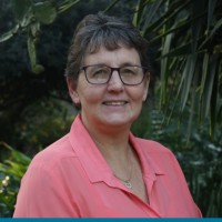 Lorraine Palm