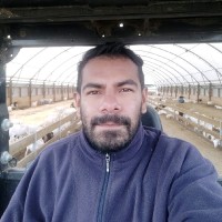 Osvaldo Santacruz V