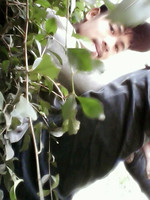 Ade Rizky