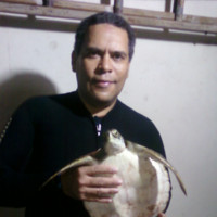 Davi Vidal