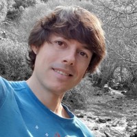 David Lozano Serrano, PMP®