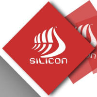 Silicon Group