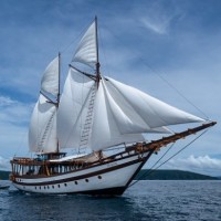 Majik Cruise