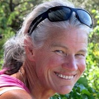 Vicki Hansen