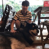 Lu Jun Yi