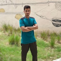 Chetan Gaur