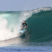 Andrew Williams