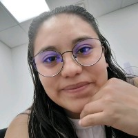 Mitzy Michell Palma Arroyo
