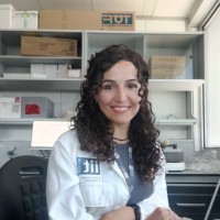 Dr. Stefania Policicchio