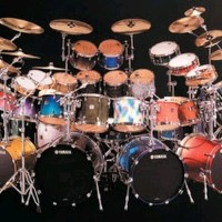 Will Parker